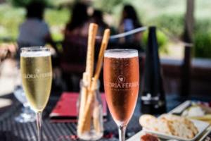 常平镇体育馆篮球联赛圆满落幕,精彩纷呈常平镇体育馆篮球联赛