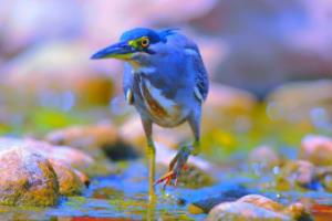 潜山市2024小学生篮球联赛,青春与汗水的盛会潜山市2024小学生篮球联赛