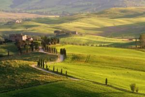 九校篮球联赛排名表格九校篮球联赛排名表格